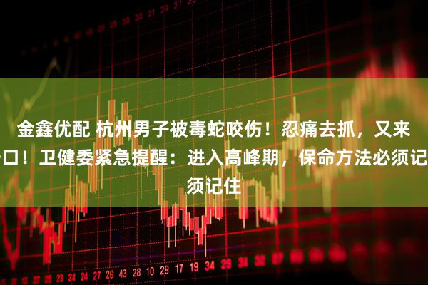 金鑫优配 杭州男子被毒蛇咬伤！忍痛去抓，又来一口！卫健委紧急提醒：进入高峰期，保命方法必须记住
