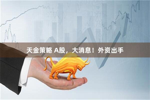 天金策略 A股，大消息！外资出手