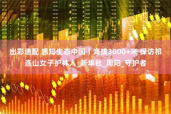 出彩速配 感知生态中国丨海拔3000+米 探访祁连山女子护林人_新华社_周阳_守护者