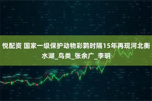 悦配资 国家一级保护动物彩鹮时隔15年再现河北衡水湖_鸟类_张余广_李明