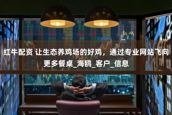 红牛配资 让生态养鸡场的好鸡，通过专业网站飞向更多餐桌_海鸥_客户_信息