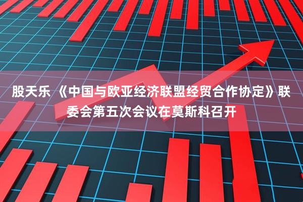 股天乐 《中国与欧亚经济联盟经贸合作协定》联委会第五次会议在莫斯科召开