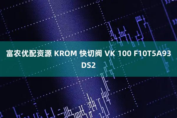 富农优配资源 KROM 快切阀 VK 100 F10T5A93DS2