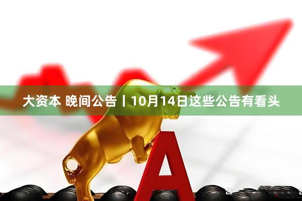 大资本 晚间公告丨10月14日这些公告有看头