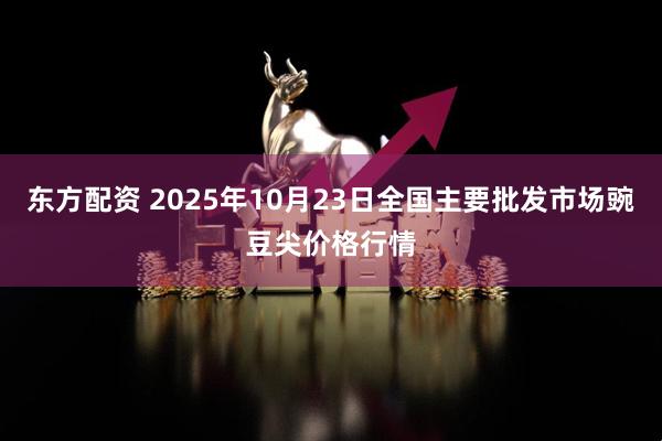 东方配资 2025年10月23日全国主要批发市场豌豆尖价格行情