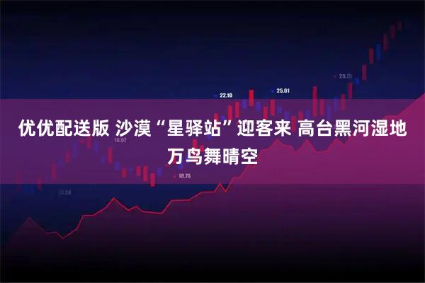 优优配送版 沙漠“星驿站”迎客来 高台黑河湿地万鸟舞晴空