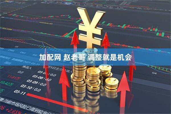 加配网 赵老哥 调整就是机会